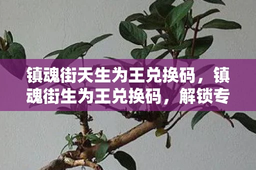 镇魂街天生为王兑换码，镇魂街生为王兑换码，解锁专属福利的秘籍