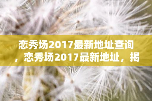 恋秀场2017最新地址查询，恋秀场2017最新地址，揭秘网络直播背后的秘密