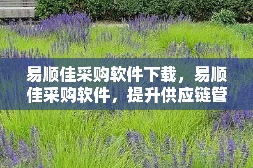 易顺佳采购软件下载，易顺佳采购软件，提升供应链管理效率的关键工具