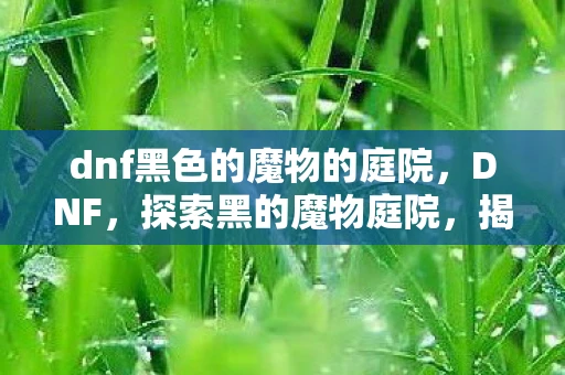 dnf黑色的魔物的庭院，DNF，探索黑的魔物庭院，揭秘隐藏副本的奥秘