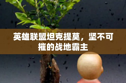 坚不可摧的战地霸主图片