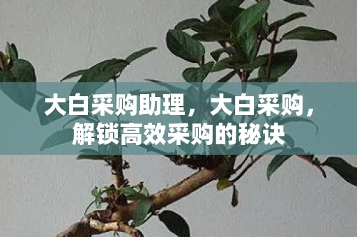 大白采购助理，大白采购，解锁高效采购的秘诀