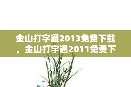 金山打字通2013免费下载，金山打字通2011免费下载，提升打字速度，轻松应对职场挑战