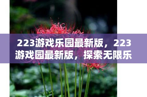 223游戏乐园最新版，223游戏园最新版，探索无限乐趣的虚拟世界