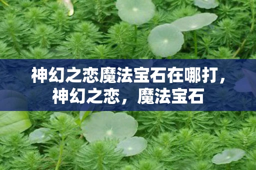 神幻之恋魔法宝石在哪打，神幻之恋，魔法宝石