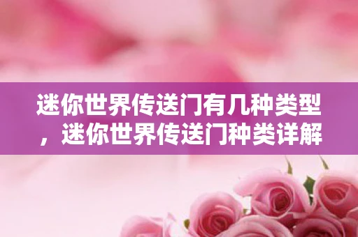 迷你世界传送门有几种类型，迷你世界传送门种类详解