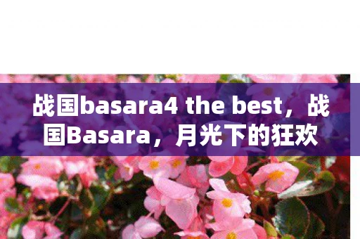 战国basara4 the best,战国Basara,月光下的狂欢盛宴 战国basara4 the best,战国Basara,月光下的狂欢盛宴