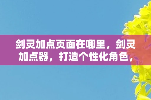 剑灵加点页面在哪里，剑灵加点器，打造个性化角色，提升游戏战斗力的关键