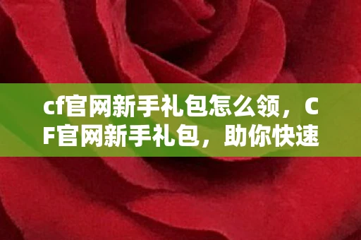 cf官网新手礼包怎么领，CF官网新手礼包，助你快速上手，畅游游戏世界