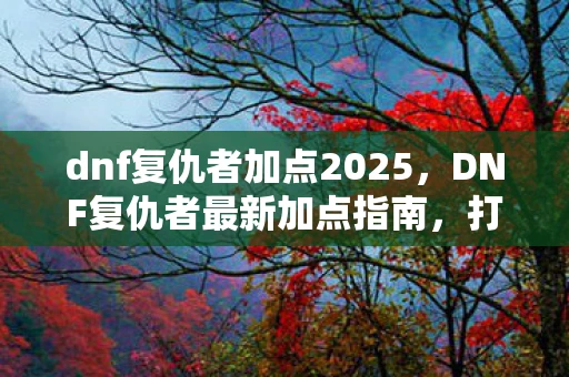 dnf复仇者加点2025，DNF复仇者最新加点指南，打造最强辅助神技