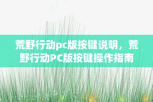 荒野行动pc版按键说明，荒野行动PC版按键操作指南