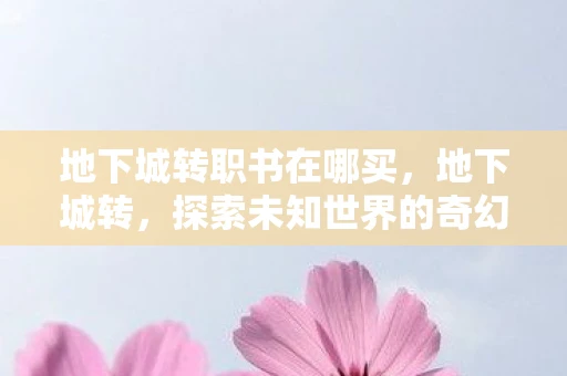 地下城转职书在哪买，地下城转，探索未知世界的奇幻之旅