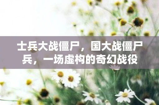 士兵大战僵尸，国大战僵尸兵，一场虚构的奇幻战役