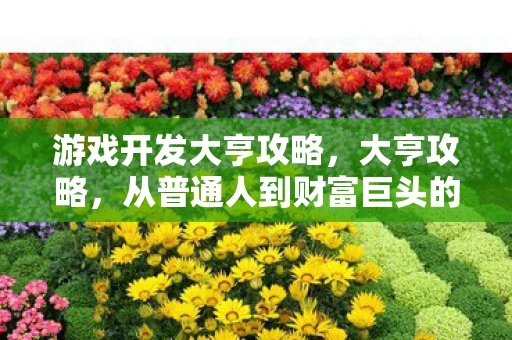 游戏开发大亨攻略，大亨攻略，从普通人到财富巨头的秘密
