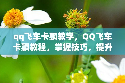 qq飞车卡飘教学，QQ飞车卡飘教程，掌握技巧，提升速度
