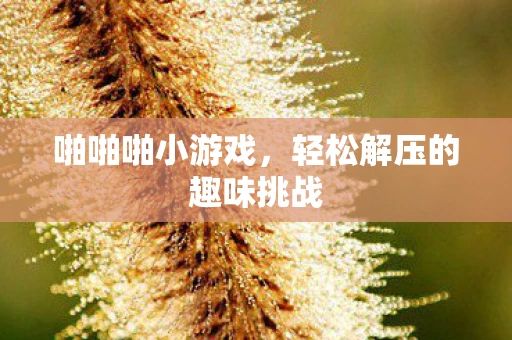 啪啪啪小游戏，轻松解压的趣味挑战
