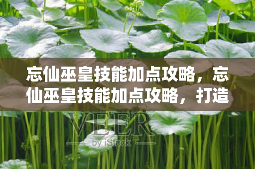 忘仙巫皇技能加点攻略，忘仙巫皇技能加点攻略，打造最强巫皇，称霸仙界！