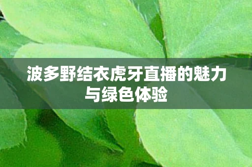 波多野结衣虎牙直播的魅力与绿色体验图片