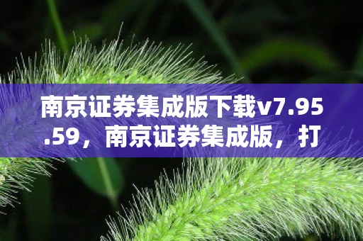 南京证券集成版下载v7.95.59,南京证券集成版,打造高效、智能的金融服务新体验 南京证券集成版下载v7.95.59,南京证券集成版,打造高效、智能的金融服务新体验