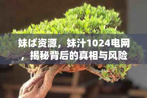 妹ぱ资源,妹汁1024电网,揭秘背后的真相与风险 妹ぱ资源,妹汁1024电网,揭秘背后的真相与风险