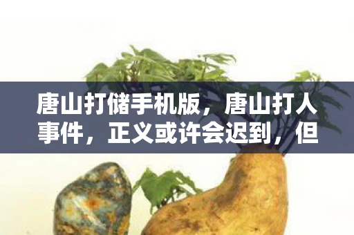 唐山打储手机版,唐山打人事件,正义或许会迟到,但绝不会缺席 唐山打储手机版,唐山打人事件,正义或许会迟到,但绝不会缺席