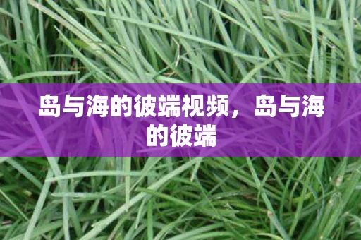 岛与海的彼端视频，岛与海的彼端