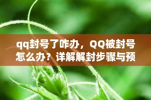 qq封号了咋办，QQ被封号怎么办？详解解封步骤与预防措施