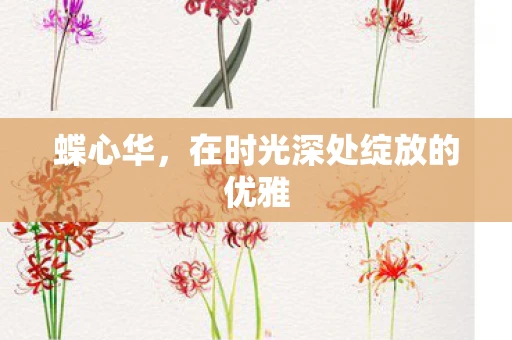 蝶心华，在时光深处绽放的优雅