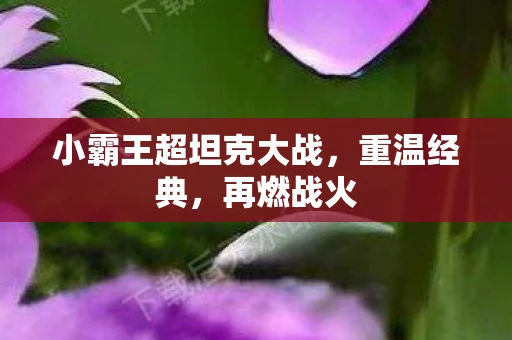 小霸王超坦克大战,重温经典,再燃战火 小霸王超坦克大战,重温经典,再燃战火