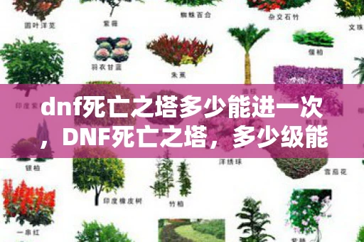 dnf死亡之塔多少能进一次，DNF死亡之塔，多少级能进？