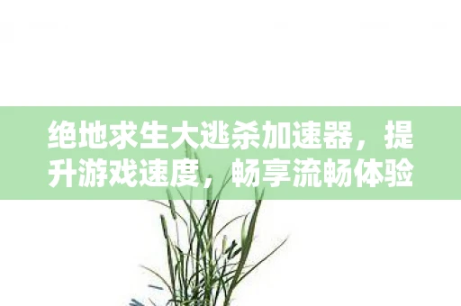 绝地求生大逃杀加速器，提升游戏速度，畅享流畅体验