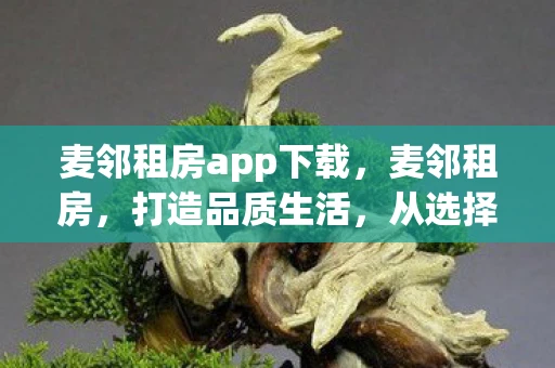 麦邻租房app下载，麦邻租房，打造品质生活，从选择开始