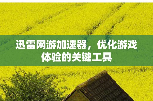 优化游戏体验的关键工具图片