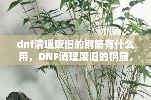 dnf清理废旧的钢筋有什么用,DNF清理废旧的钢筋,打造绿色循环经济 dnf清理废旧的钢筋有什么用,DNF清理废旧的钢筋,打造绿色循环经济