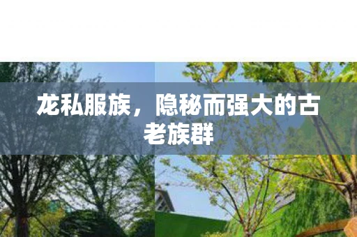 龙私服族，隐秘而强大的古老族群