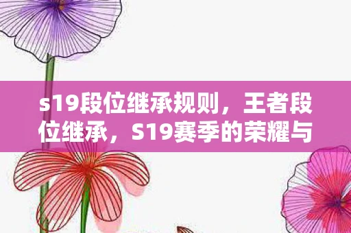 s19段位继承规则，王者段位继承，S19赛季的荣耀与挑战