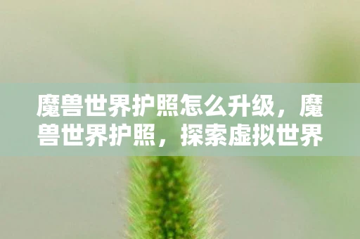 魔兽世界护照怎么升级，魔兽世界护照，探索虚拟世界的真实护照