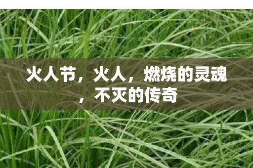火人节，火人，燃烧的灵魂，不灭的传奇