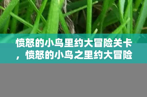 愤怒的小鸟里约大冒险关卡,愤怒的小鸟之里约大冒险攻略 愤怒的小鸟里约大冒险关卡,愤怒的小鸟之里约大冒险攻略