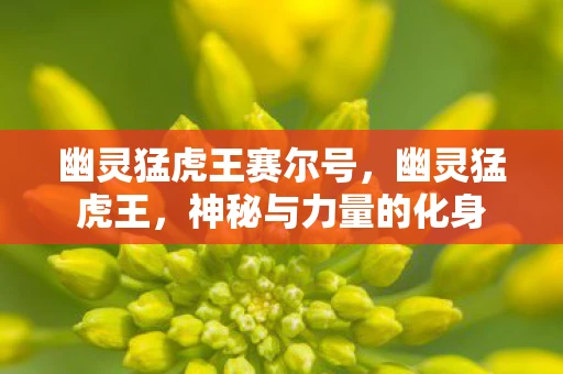 幽灵猛虎王赛尔号，幽灵猛虎王，神秘与力量的化身