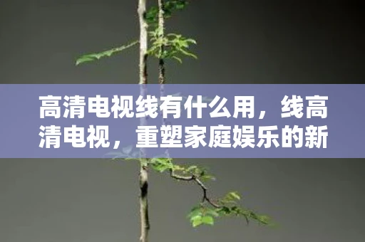 高清电视线有什么用,线高清电视,重塑家庭娱乐的新篇章 高清电视线有什么用,线高清电视,重塑家庭娱乐的新篇章