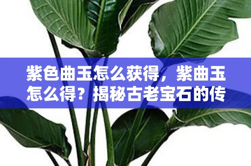 紫色曲玉怎么获得，紫曲玉怎么得？揭秘古老宝石的传奇之旅