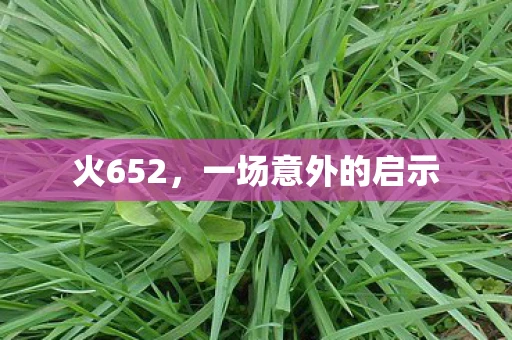 火652,一场意外的启示 火652,一场意外的启示