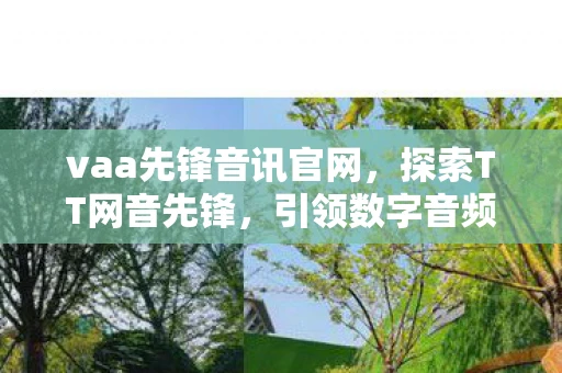 vaa先锋音讯官网，探索TT网音先锋，引领数字音频新时代的创新力量