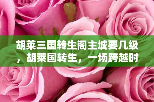 胡莱三国转生阁主城要几级，胡莱国转生，一场跨越时空的奇幻之旅