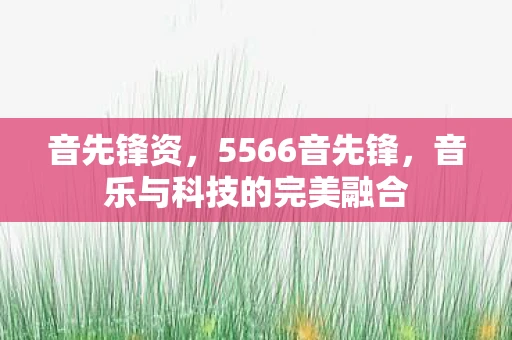 音先锋资，5566音先锋，音乐与科技的完美融合