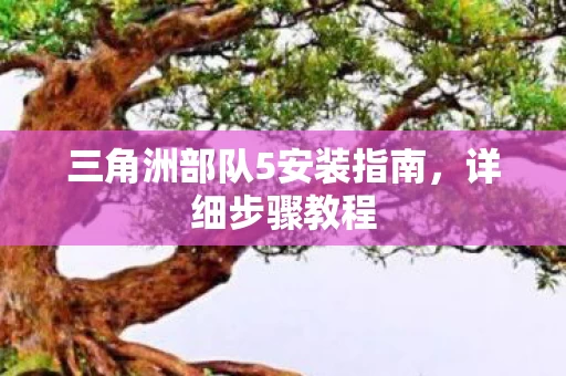 三角洲部队5安装指南图片