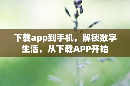 下载app到手机，解锁数字生活，从下载APP开始