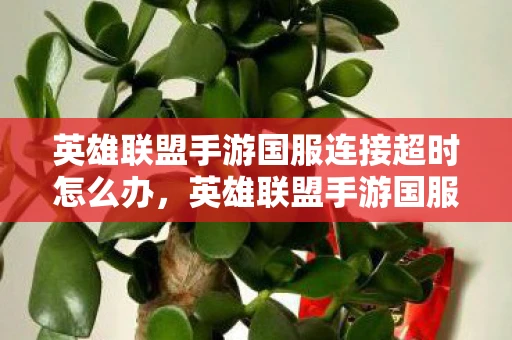 英雄联盟手游国服连接超时怎么办，英雄联盟手游国服连接超时，问题解析与解决方案