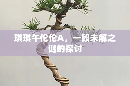 琪琪午伦伦A，一段未解之谜的探讨